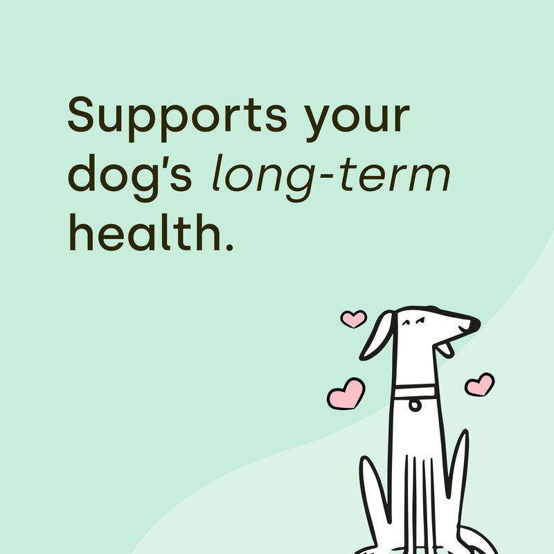 Scooch All-In-One Dog Multivitamin, 60 Tasty Crunchy Chews Even Fussy Dogs Eat | Daily Supplement Supporting Skin, Coat & Joints | Plant-Based Peanut Butter & Coconut | For Dogs from 12 Weeks Adult