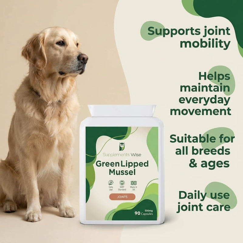 Green Lipped Mussel for Dogs - Also for Humans - 90 x 500mg - Green Lipped Mussel Capsules - Pure New Zealand Powder - Hip, Knee and Joint Care Supplement - Naturally Contains Omega 3 90 count (Pack of 1)