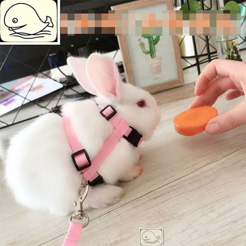 2 Pcs Adjustable Bunny Rabbit Harness with Leash Cat Puppy Walking Harness Leash Pet Harness Leash for Pigs Hamster Small Animals Pink and Light Blue