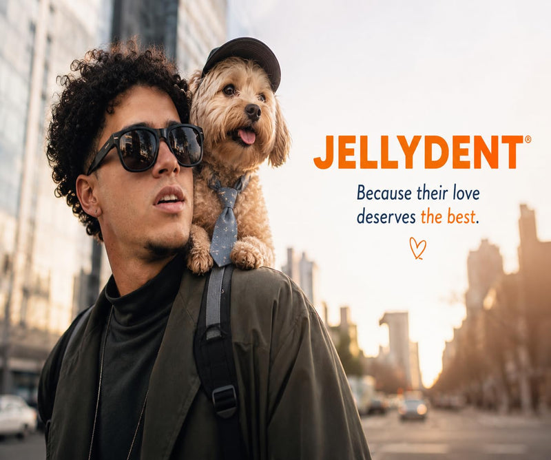 Jellydent Dog Dental Chews – Single Ingredient Beef Skin Chews for Plaque & Tartar Control – High Protein Natural Treats for Adult Dogs (10 Count, 5.15 oz)