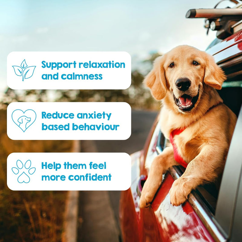 PAWD Calming Dog Powder Supplement – Fast-Acting Dog Anxiety Relief for Stress, Fireworks & Travel – Natural Calming Treats & Tablets Alternative, Vet Approved. Mix with Water. Dogs Under 15kg Calming Pouch - Dogs Under 15kg