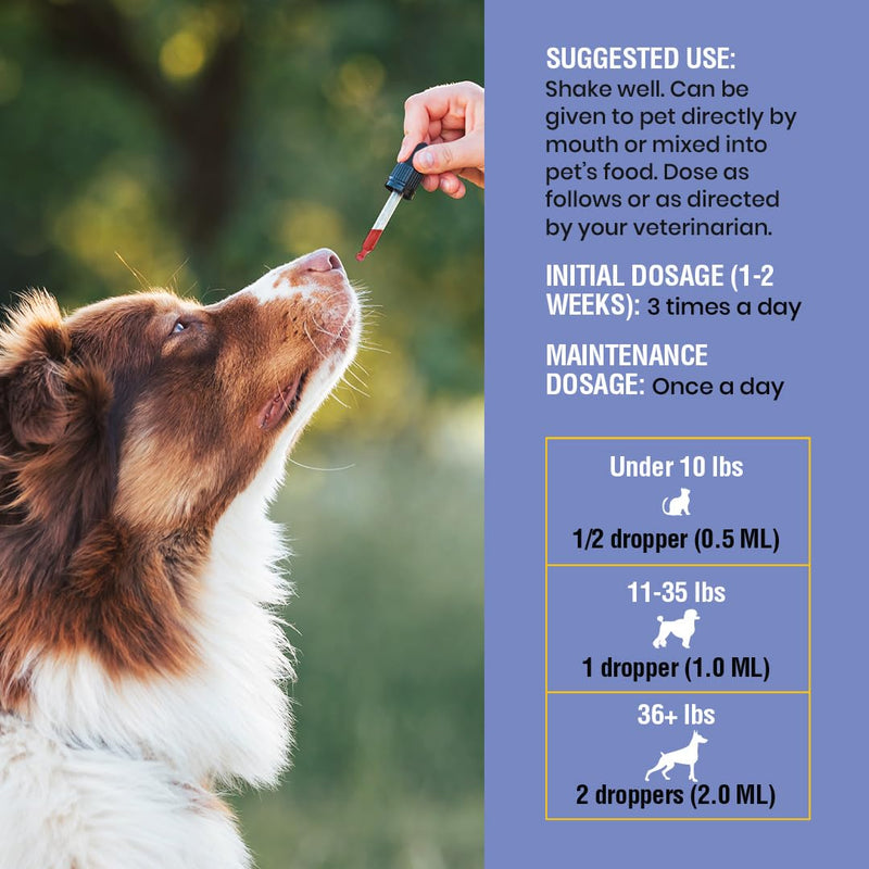 Kennel Cough Support for Dogs & Cats – Helps with Dry, Wet & Barking Cough – Herbal Pet Respiratory & Throat Support, Supports Breathing & Clear Airways – Natural Liquid Supplement – 2oz 2 Ounce