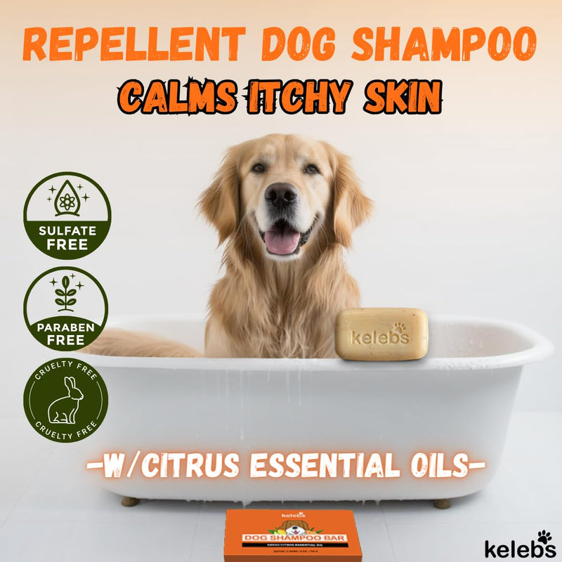 Deodorizing Dog Shampoo for Smelly Dogs | Puppy Shampoo | Organic Pet Shampoo for Dogs | Natural Dog Shampoo Bar | Citrus Essential Oils | Eco-Friendly | Zero Plastic Waste | Vegan | 3 Pack - BeesActive Australia