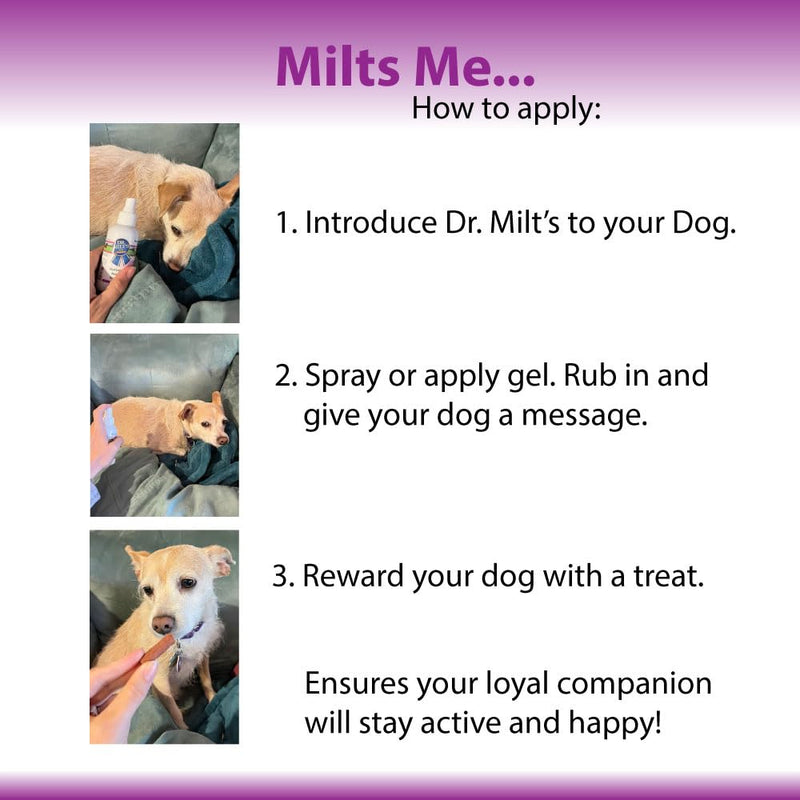 Dr. Milt's Dog Hip and Joint Pain Relief Spray and Gel, Topical Magnesium Sulfate & Arnica Ointment. Reduces Inflammation, Lessens Tenderness and Alleviates Nervousness. 1-2oz Gel 1 - 2oz Gel - BeesActive Australia