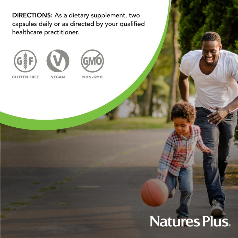 NaturesPlus Hema-Plex Iron - 60 Fast-Acting Capsules - 3 Pack - 85 mg Chelated Iron + Vitamin C & Bioflavonoids for Healthy Red Blood Cells - Vegan, Gluten Free - 90 Total Servings 60 Count (Pack of 3)