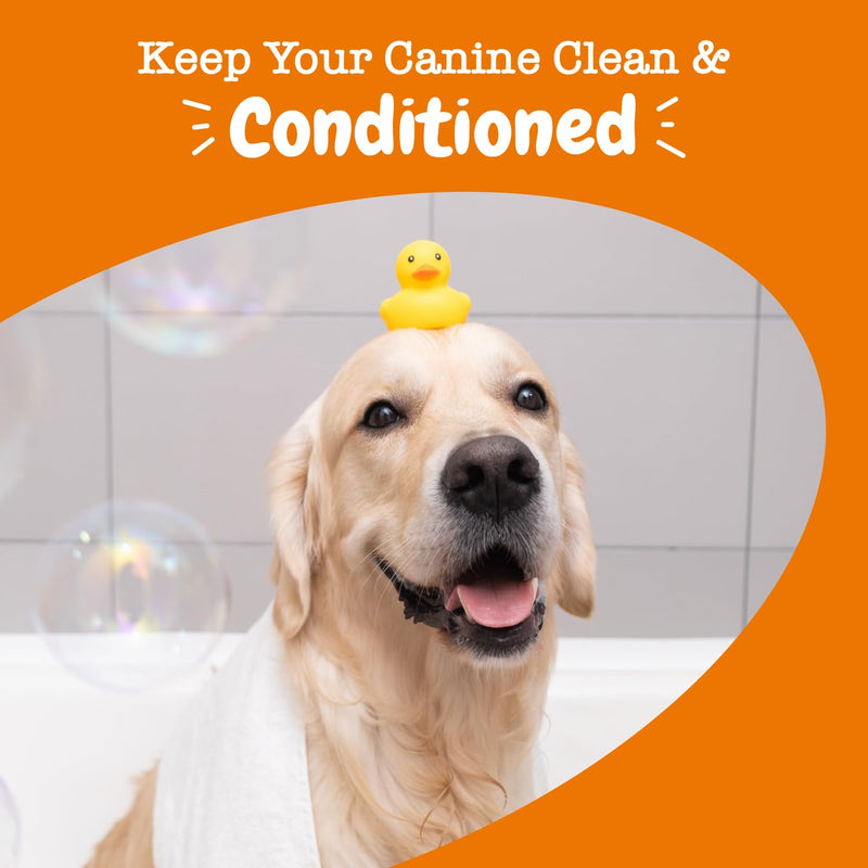 Dog Conditioner with Oatmeal, Aloe Vera & Shea Butter - Natural Grooming Pet Wash for Skin & Coat - Anti Itch Formula - Vanilla Bean Scent - 16 OZ - BeesActive Australia