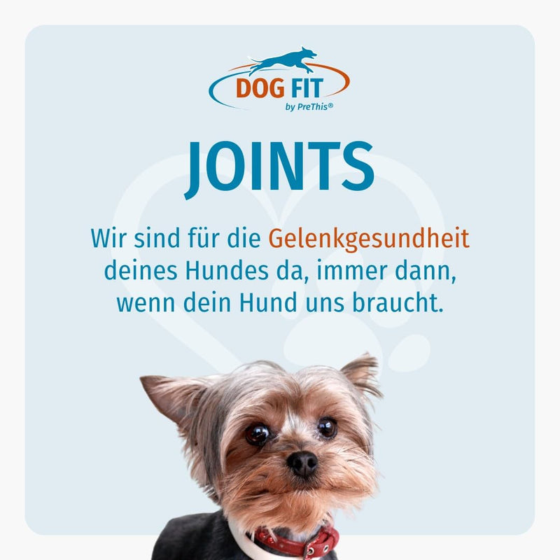 DOG FIT by PreThis® Joints I Premium joint preparation for dogs for osteoarthritis, patellar luxation, spondylosis & hip dysplasia I Joint protection free of additives I small up to 10kg JOINTS small (up to 10kg) - BeesActive Australia