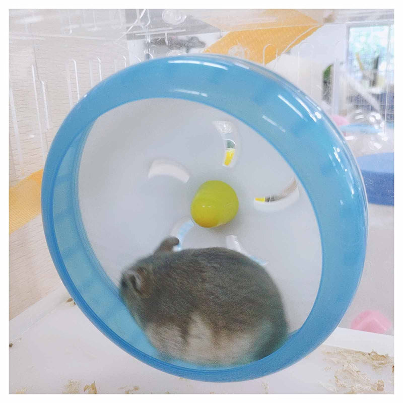 WishLotus Hamster Running Wheel, Silent Jogging Exercise Toy Hamster Cage Accessory for Drawf Hamster Golden Silk Shih Tzu Bear (Blue) blue - BeesActive Australia