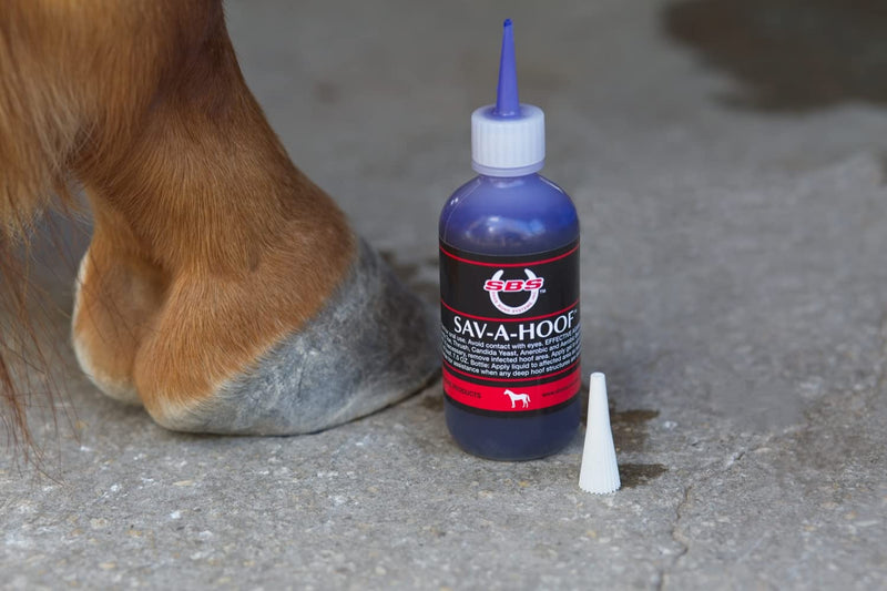 Gel II by SBS EQUINE, Hoof Treatment, Long - Lasting Time Release Formula, No Messy Waste or Run-Off 4 oz - BeesActive Australia