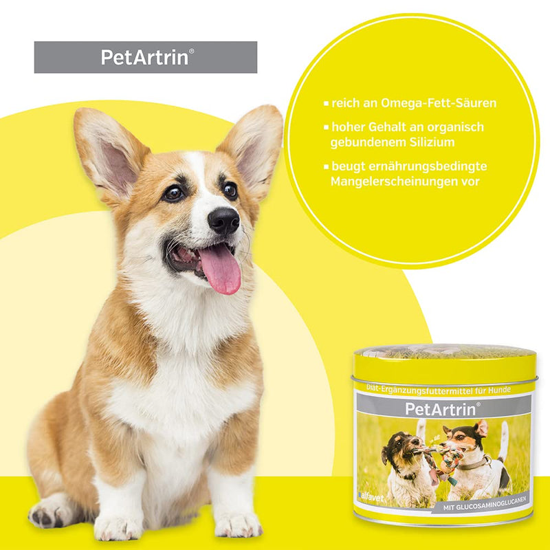 Alfavet PetArtrin, supplementary food for dogs, supports joints, joint metabolism for osteoarthritis, powder, 200 g can 200GR - BeesActive Australia