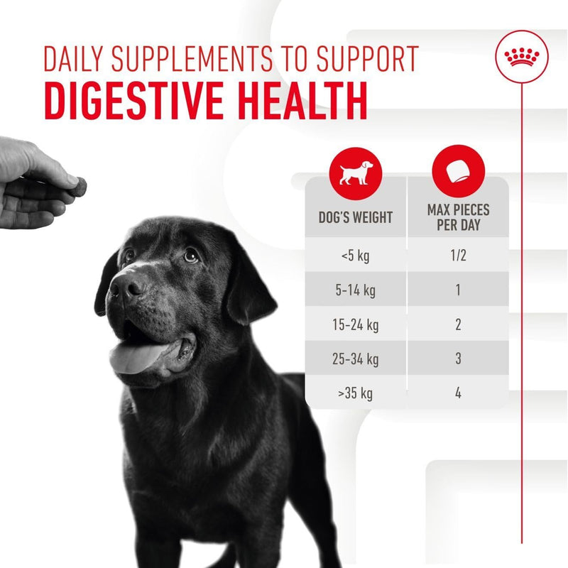 Royal Canin Dog Supplement for Digestion Soft Chews 160g