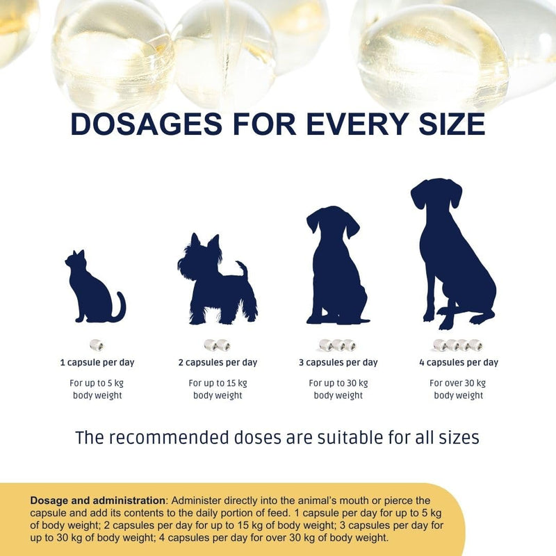 Omega 3 for Dogs and Cats OMEGOR Pet with EPA and DHA from Purified Fish Oil – Omega3 IFOS Certified - 60 Capsules to Keep Your Pet's Hair and Joints Healthy 60 unità (Confezione da 1)