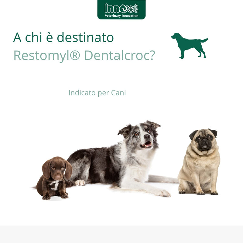 RESTOMYL DENTALCROC 60G