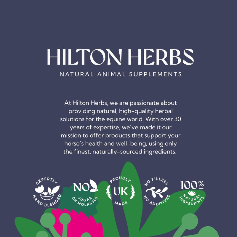 Hilton Herbs Seaweed & Rosehip Natural Dog Supplement. 100% Natural Ingredients. Daily Nutrition and Dental Care for Dogs. Help Fight Against Plaque and Combat Bad Breath. 125 g
