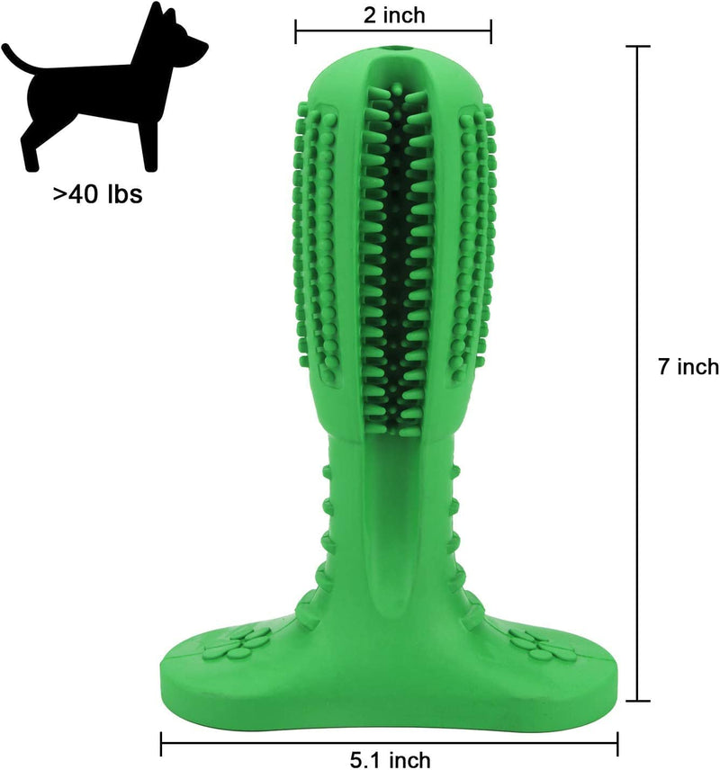 Bestbuy Dog Toothbrush Stick-Puppy Dental Care Brushing Stick Effective Doggy Teeth Cleaning Massager Nontoxic Natural Rubber Bite Resistant Chew Toys for Dogs (Large)