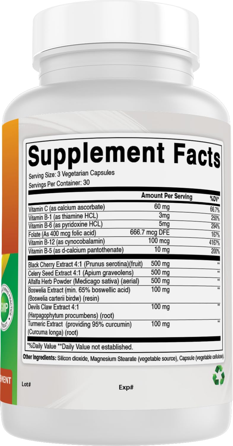 Best Naturals Uric Acid Cleanse Vitamins for Men and Women - 90 Veggie Capsules (90 Count (Pack of 1)) 90 Count (Pack of 1)