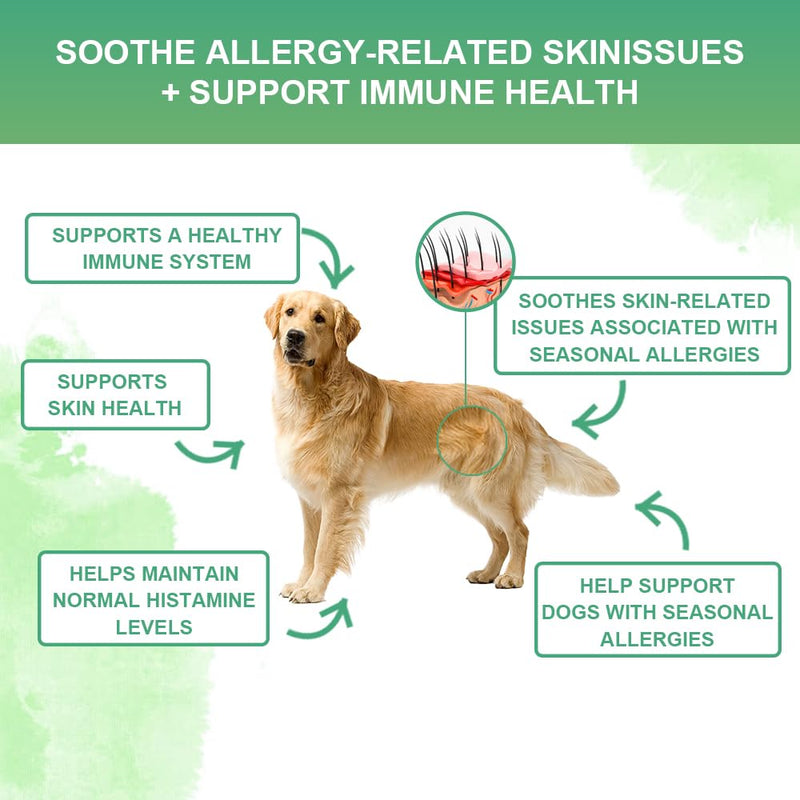 Allergy Powder for Dogs, 90g Salmon Flavor - Itch Relief & Immune Support with Probiotics, Quercetin & Salmon Oil | Vet-Approved Formula for Seasonal Allergies & Sensitive Skin (Salmon)