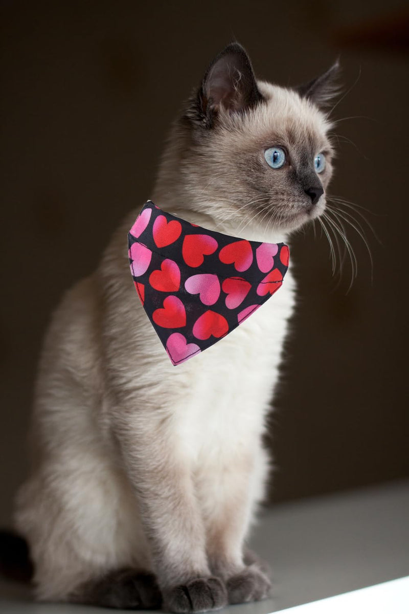 Valentine's Day Cat Collars Breakaway with Bandana Bell Pet Kitten Collar Adjustable Small Dog Puppies Girl Boy Valentine - BeesActive Australia