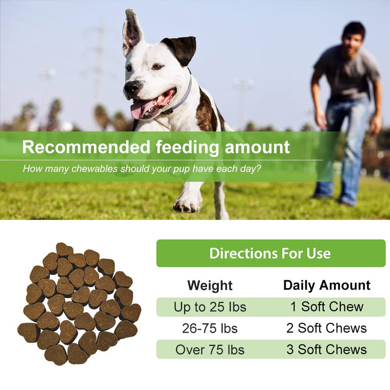 Green Lipped Mussel for dogs ALL in ONE Joint Care Supplements Hip & Joint aid 100 Tasty DAILY Chews Glucosmine Chondoitin MSM Curcumin PUPPY- ADULT-SENIOR - Chicken Flavor joint supplements for dogs