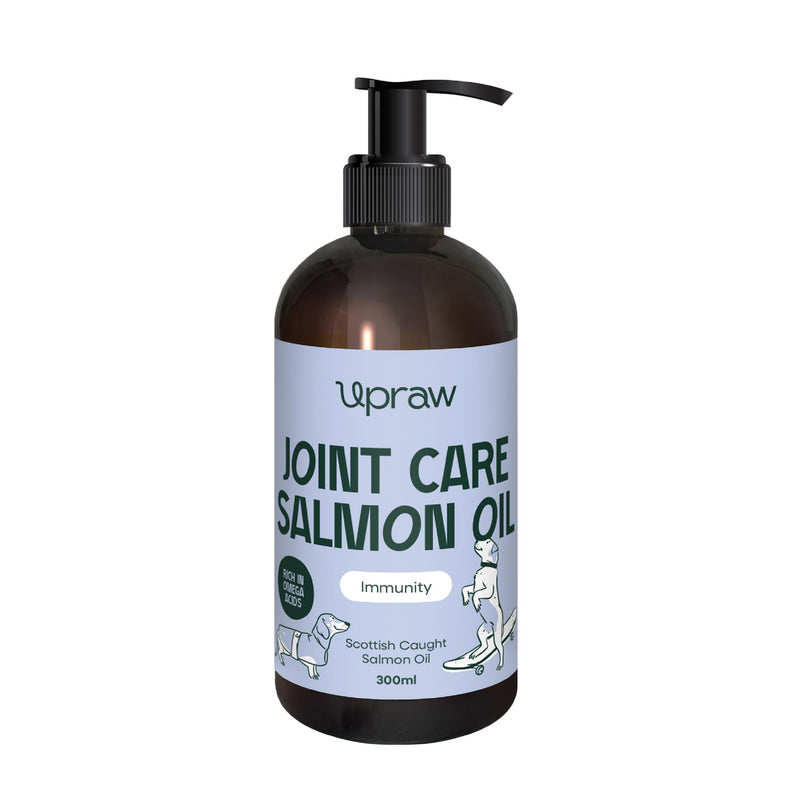 Joint Care Salmon Oil for Dogs 300ml, Scottish Salmon Oil with Glucosamine, Chondroitin, MSM & Turmeric, Omega 3 6 9 Supplement for Mobility, Skin & Coat Health, Hip & Joint Support for All Dog Sizes