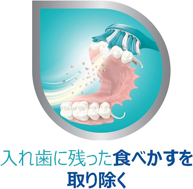 Polident Dental Lab Partial Denture Brush (Color Variable) - BeesActive Australia