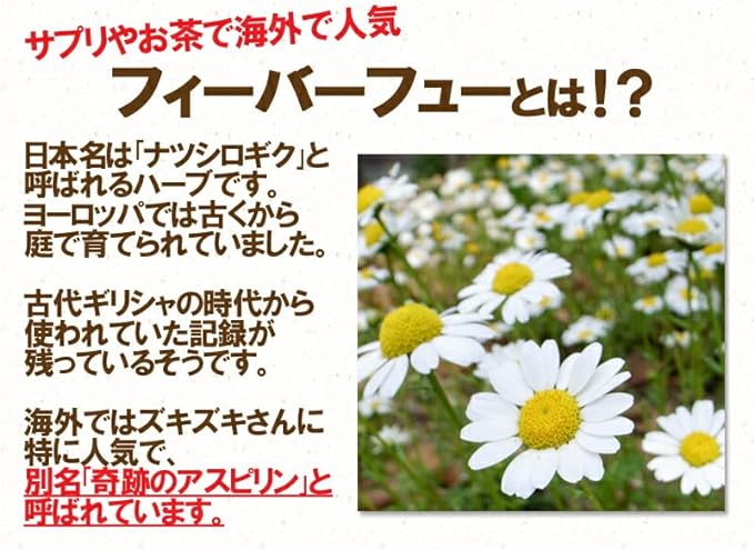 Feverfew powder 30g non-caffeine Feverfew summer white chrysanthemum parthenolide herbal tea health tea throbbing supplement powder - BeesActive Australia