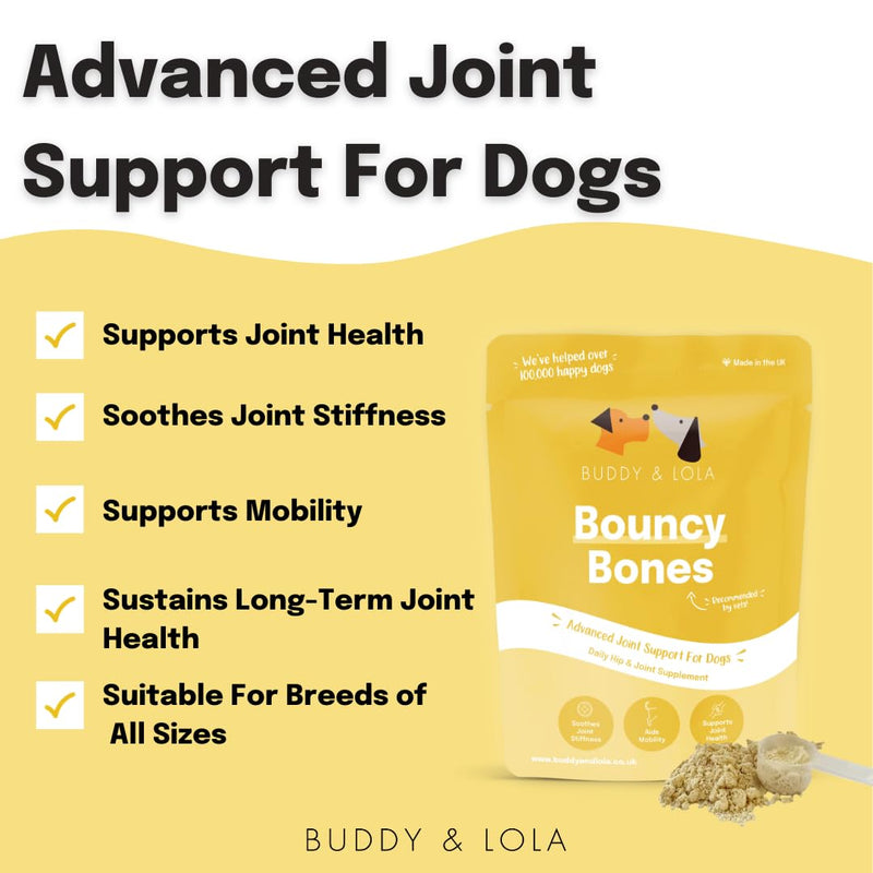 Buddy & Lola Joints and Tummy Bundle for Dogs - High CFU Count, Plant-Based Dog Probiotics for Gut Health - Dog Probiotic Powder with Prebiotics for Skin Health & Joint Support Supplement Value Joints and Tummy Bundle