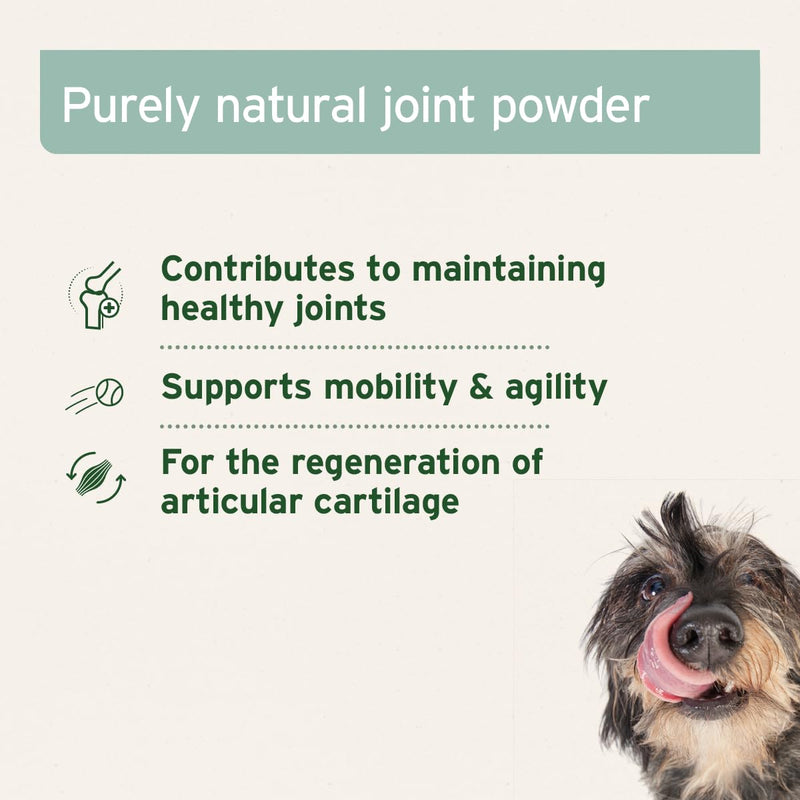 AniForte Green Lipped Mussel for Dogs and Cats 500g Powder - 100% Natural Joint Supplement with Glucosamine, Lipids, Omega-3 Fatty Acids, Minerals and Amino Acids