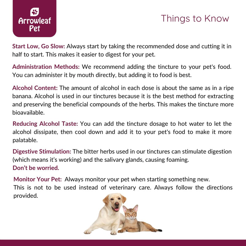 Vision Care by NaturPet Inc for Cats and Dogs | with Bilberry | Eye Support | 100mL Herbal Tincture - PawsPlanet Australia