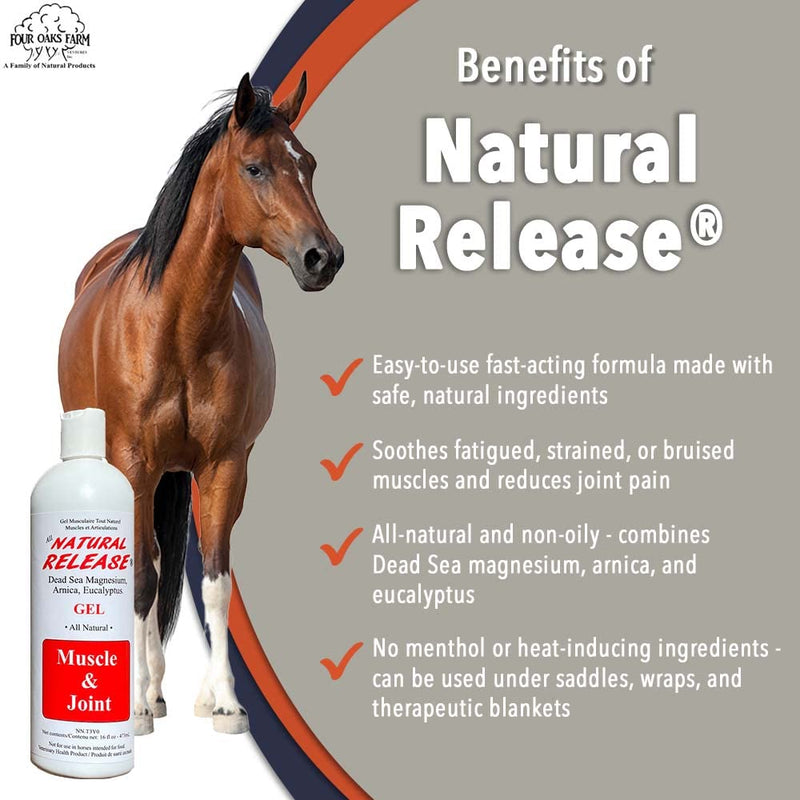Natural Release Muscle Gel Treatment - Horse Liniment for Sore Muscles, Joint Pain, Tendon & Inflammation Relief - Easy to Use, Fast Acting, Alcohol & Menthol Free (16 oz) - BeesActive Australia