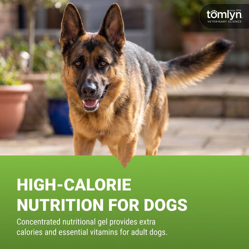 Tomlyn Nutri-Cal Malt-Flavored High-Calorie Nutritional Gel for Dogs, 4.25oz Adult Dog 4.25 oz
