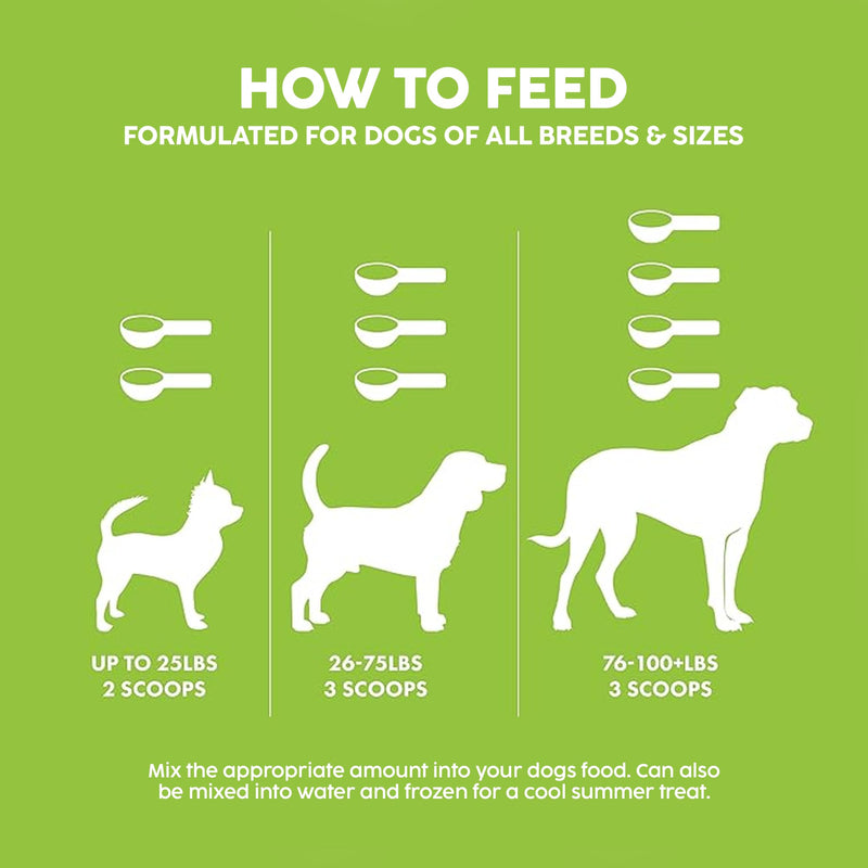 King Kanine Green Inmune Plus Multivitamin and Mineral 6 oz | Organic Powder to Improve Join Mobility & Allergy Relief | Inflammatory Supplement for Dogs Care | Veterinarian Approved - PawsPlanet Australia