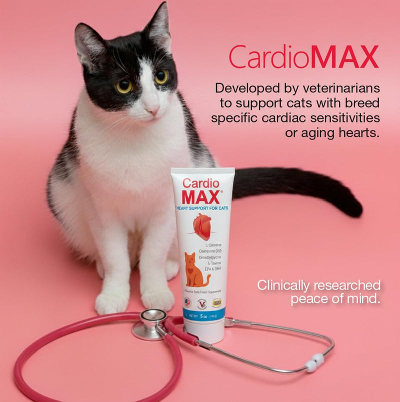 Heart Support Gel for Cats – L-Taurine, L-Carnitine, CoQ10 & Omega-3 (EPA & DHA) – Cardiovascular & Heart Muscle Support – Veterinarian Formulated Cat Cardiac Supplement – Tuna Flavor – 5 oz
