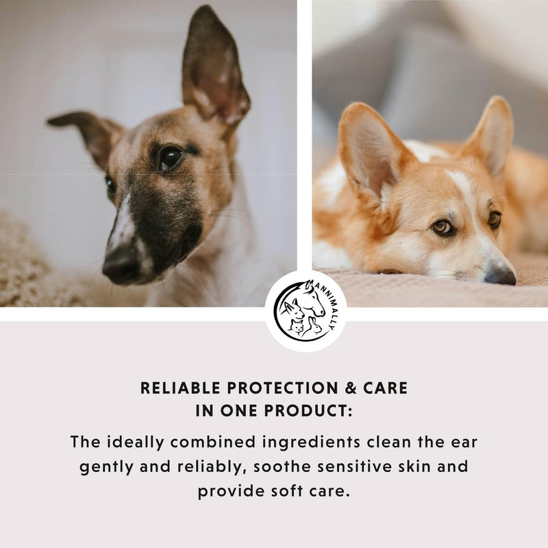 Annimally Ear Drops for Dogs & Cats with Colloidal Silver 50 ppm 50 ml - Gentle Ear Cleaning, Alcohol-Free Formula for Daily Use, Made in Germany