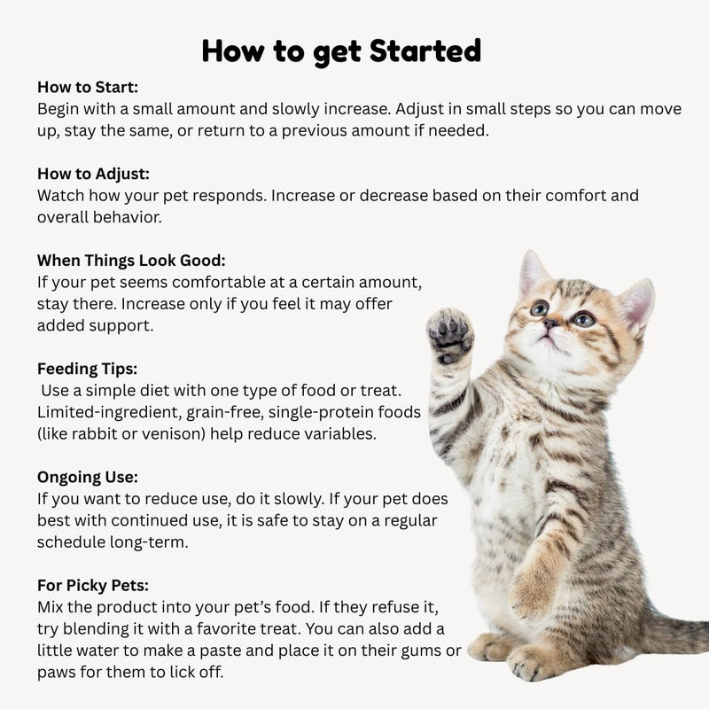 Vitality Science Celloquent Gold for Cats | Holistic Advanced Immune Support Supplement | 17 Synergistic Ingredients | Auto Immune, Vomit and Diarrhea, Depression (60g) 60g