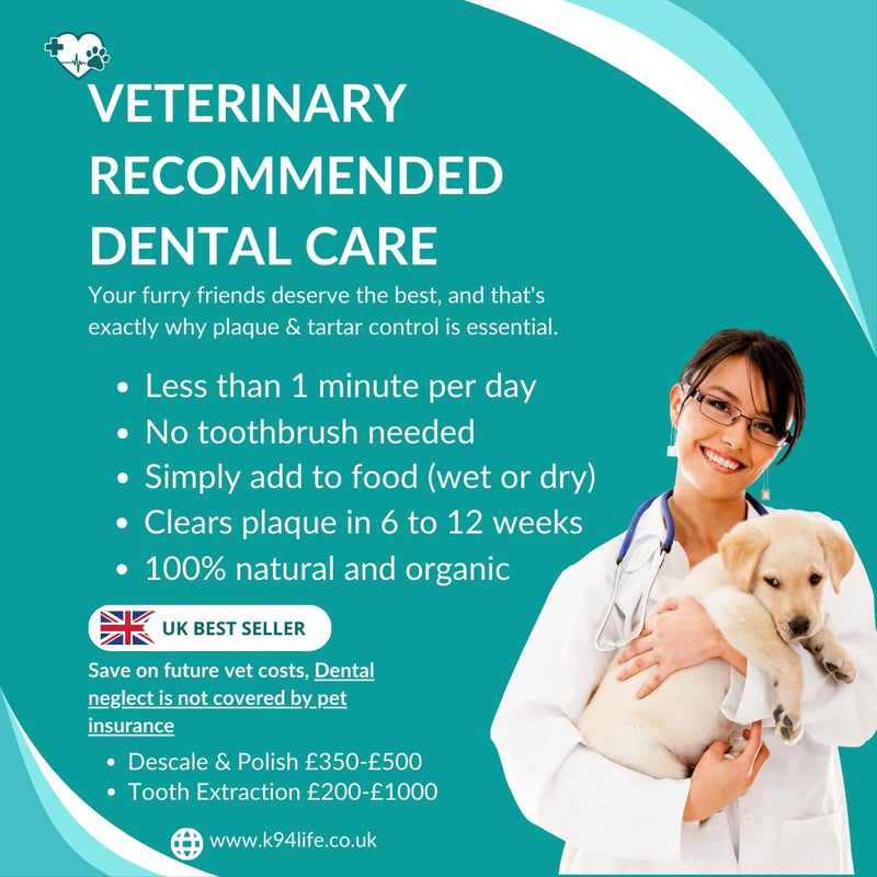 Plaque Off and Tartar Remover for Dogs Massive 500g Dental Care for Healthy Teeth and Gums, Dog Teeth Cleaner & Better than Water Additive - 100% Organic with No Chemicals 500 g (Pack of 1)