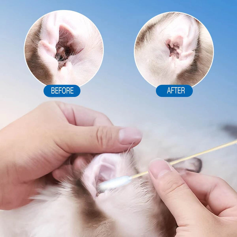 50pcs Pet Dog Ear Cleaner Bamboo Cotton Buds 15.5cm Improved Long Stick, Wax Remover, Itchy Ears, Cleaning Swab for Cleaning Animals, Infections（50pcs） - BeesActive Australia