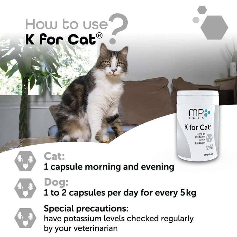 K for Cat capsules