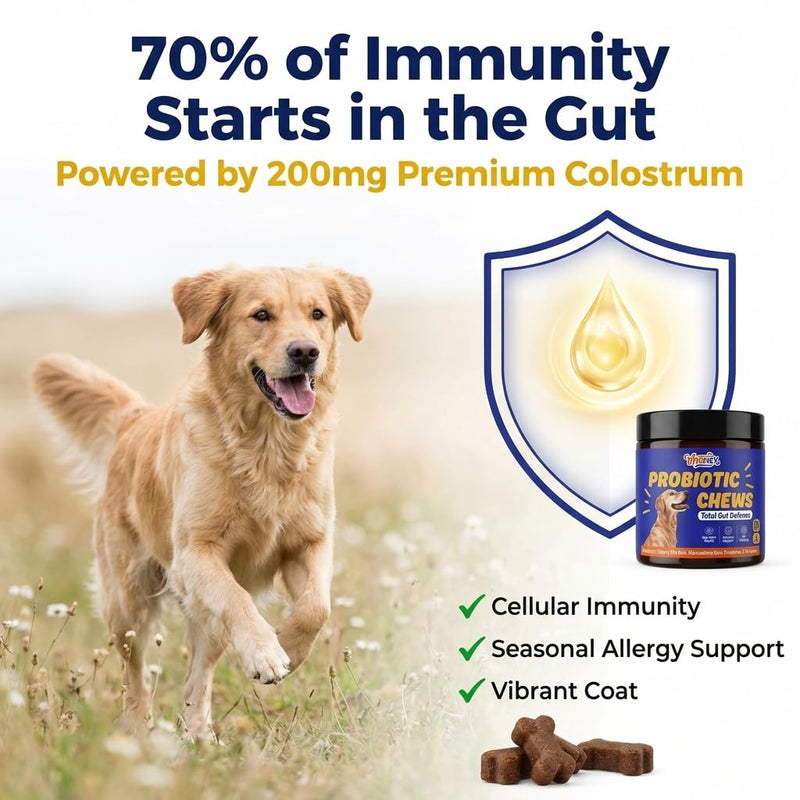 Advanced Dog Gut & Immune Support - Probiotics for Dogs Upset Stomach & Gas Relief with Pumpkin, Slippery Elm,Colostrum & Digestive Enzymes, Duck Flavor