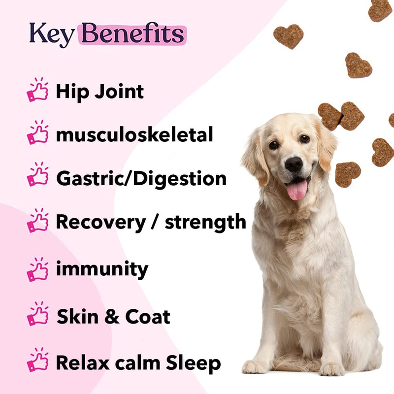 PETSY Multivitamin for Dogs – 20-in-1 Dog Multivitamin Chews with Probiotics, Glucosamine & Chondroitin with Salmon Oil, Biotin & Folic Acid | Joint, Gut, Skin & Immune Support | Natural Treats Salmon Flavour Chews