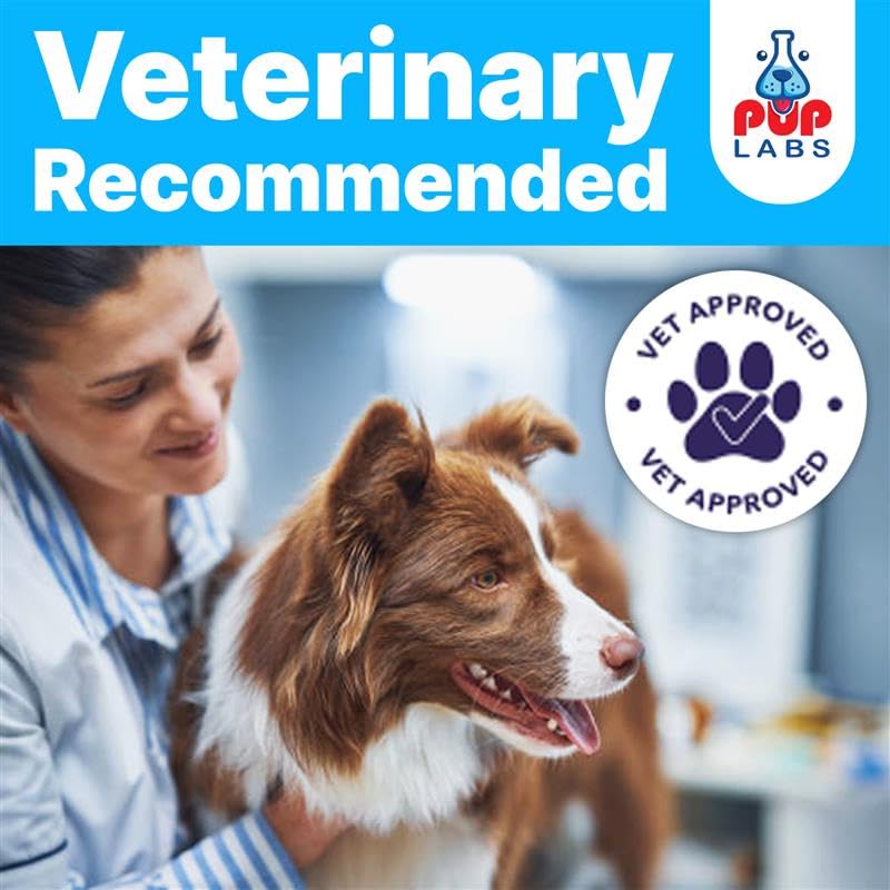 Freedom Joint Drops & Chews Bundle for Dogs, All-Natural Joint Supplements for Pain Relief, Mobility & Hip Support