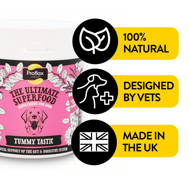 Proflax Tummy Tastic Digestive Care for Dogs – Pre & Probiotic Blend for Gut Health, Digestion & Stool Quality - 350g 350 g (Pack of 1)