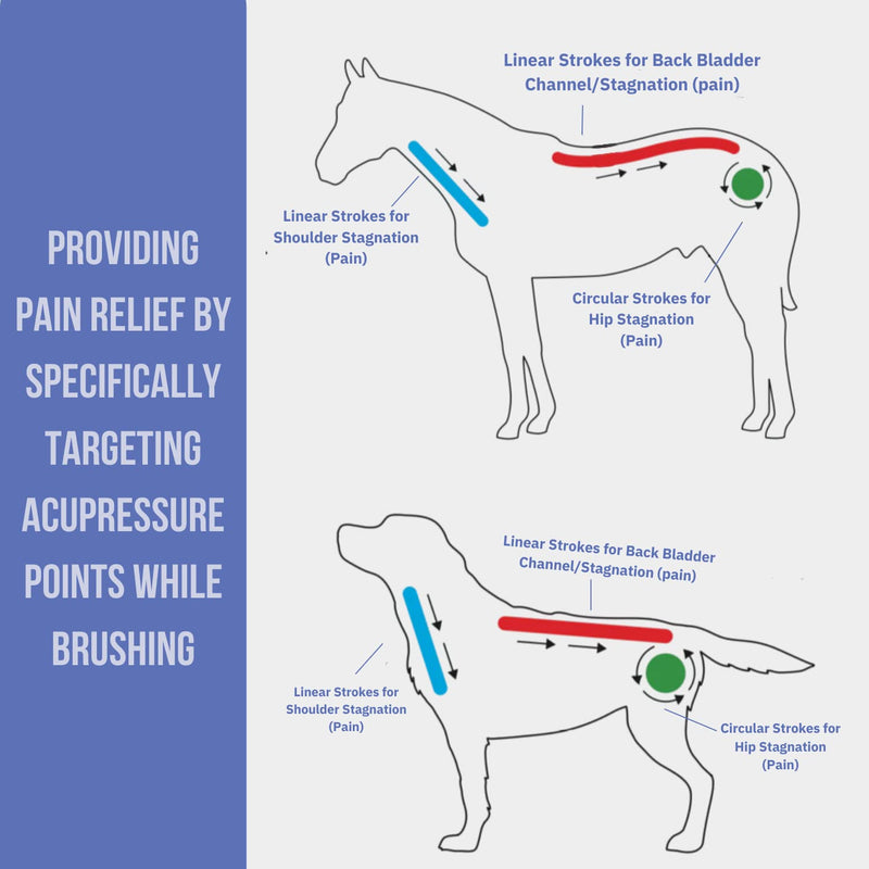 Curry on a Stik' - Dog Brush for Shedding, Grooming, Bathing, & Therapeutic Massage Tool - For Long & Short Haired Dogs - Decreases Shedding & Increases Coat Health - Veterinarian Approved - Ergonomic - BeesActive Australia
