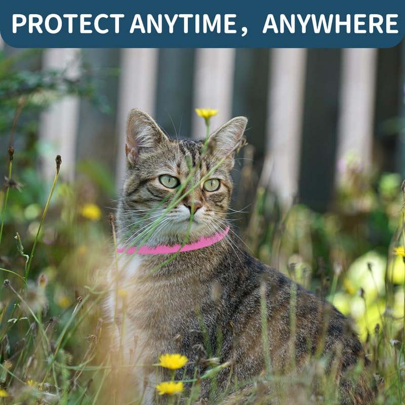 4 Pack Cat Flea Collar - Flea Collar for Cats Adjustable, Waterproof Flea and Tick Prevention for Cats and Kittens - 32 Months Protection - Flea and Tick Treatment - Pink - BeesActive Australia