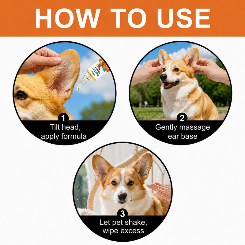 Dog Ear Cleaner for Dogs, Gentle Ear Cleaning Solution, Dog Ear Wash for Routine Ear Hygiene, Ear Cleaner for Dogs, Dog Ear Drops Style Applicator, Helps Remove Build-Up and Refresh Ears, 1 Fl Oz