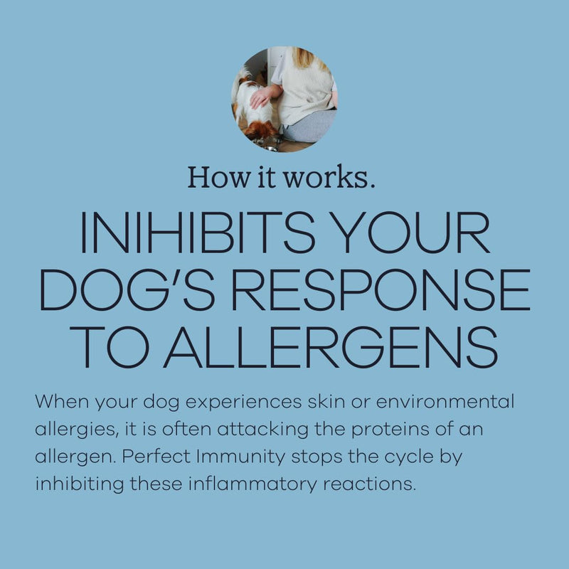 Perfect Immunity by Yumwoof - Non-GMO, Human-Grade Dog Food Topper - PawsPlanet Australia