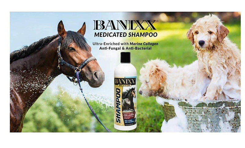 BANIXX Essential First-Aid Solution - BeesActive Australia