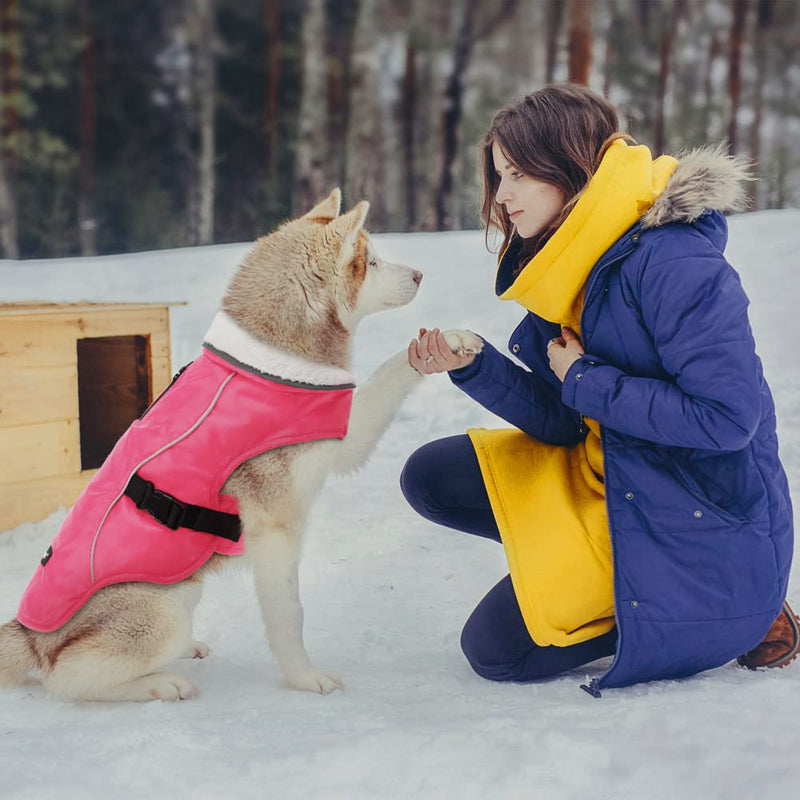 EMUST Dog Cold Weather Coats, Fleece Lining Small/Medium/Large Dog Jacket for Winter, Warm Waterproof Dog Winter Clothes for Large Dogs, Pink, XL X-Large - BeesActive Australia