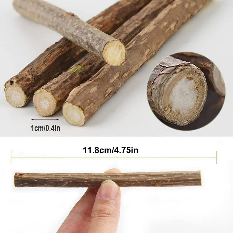 Catnip Sticks For Cats, Cat Dental Chew Sticks, Matatabi Cat Dental Care, Silvervine Cat Teeth Cleaning Dental Sticks, Cat Toys for Indoor Cats 30 pcs