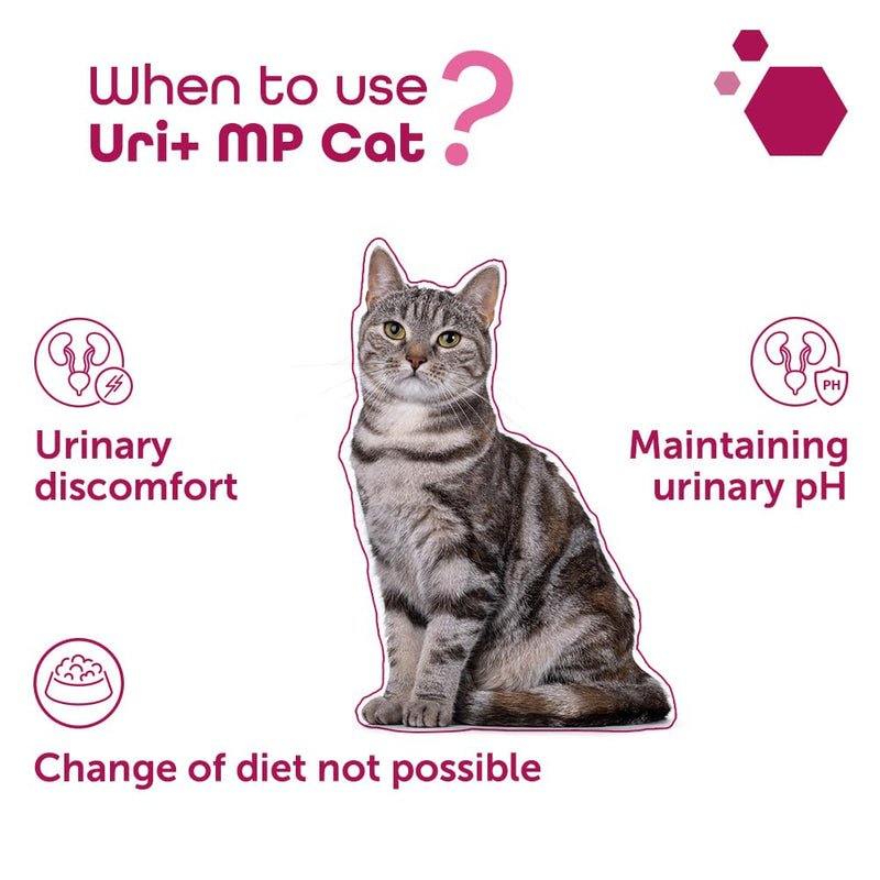 Uri+ MP Cat – Daily Urinary Support with Selected Nutrients – Bladder Supplement - Supports Nutritional Balance & Comfort – Powder with Measuring Spoon